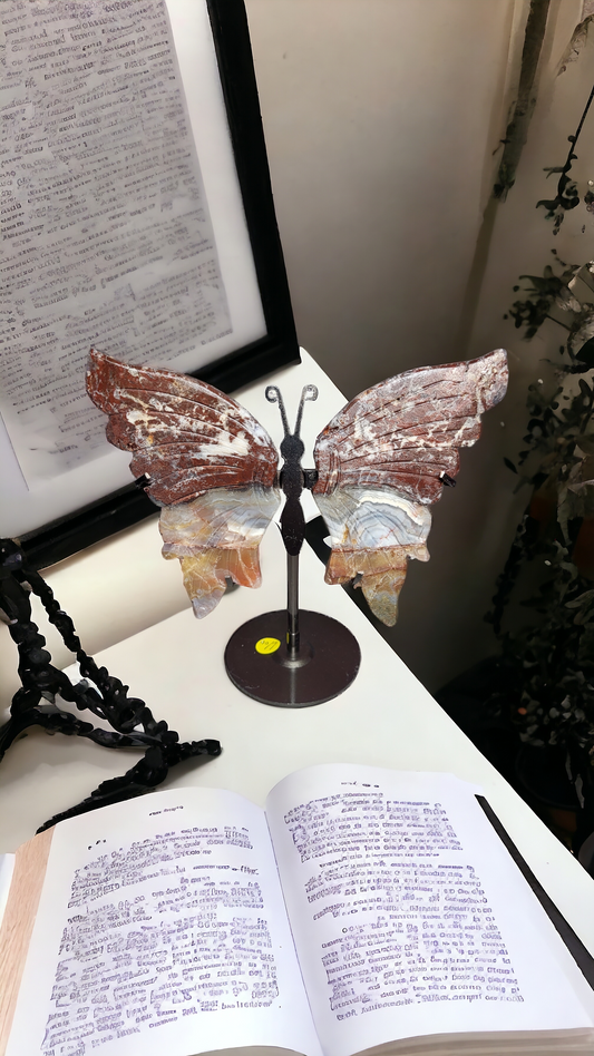 Schmetterling auf Stand Jaspis Nr.2